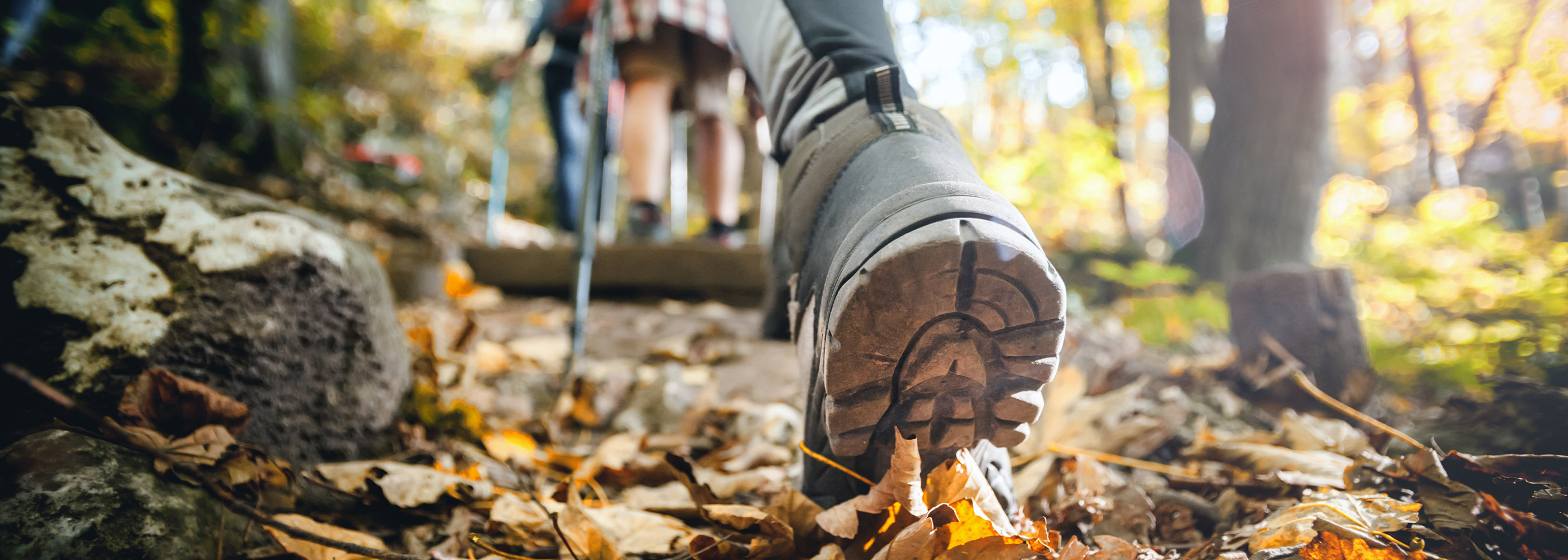 Freizeit Landhotel Willecke